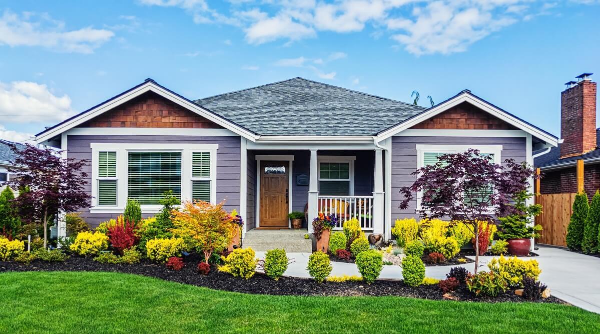 Front view of a purple house with a well groomed garden.